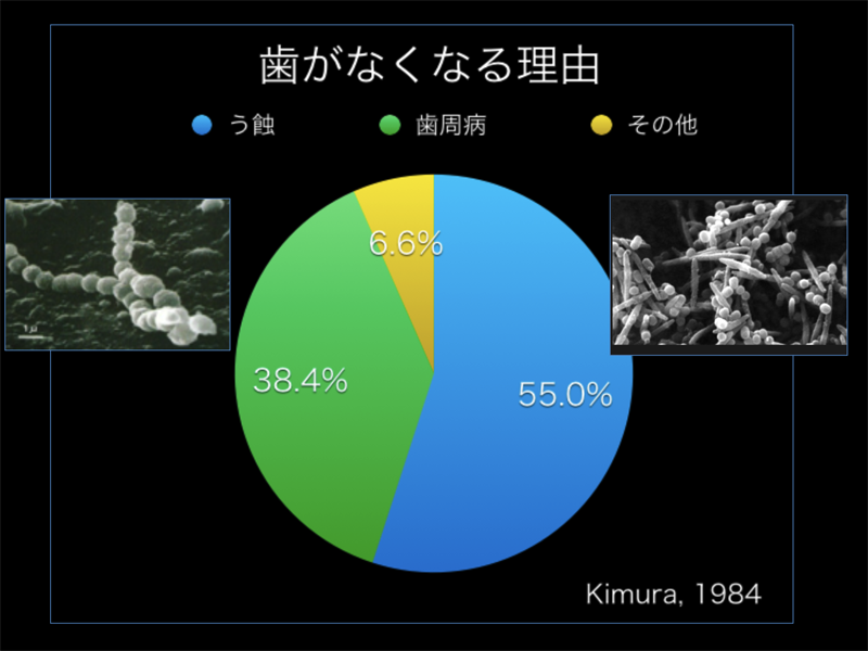 オーラルフィジシャンとは挿入図